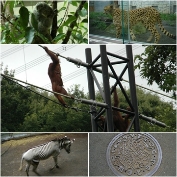 多摩動物公園へ_c0051105_7191338.jpg