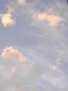 c0023406_641822.jpg