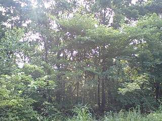 b0102023_1327442.jpg