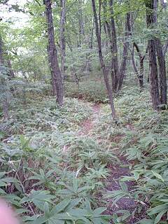 b0102023_13285086.jpg