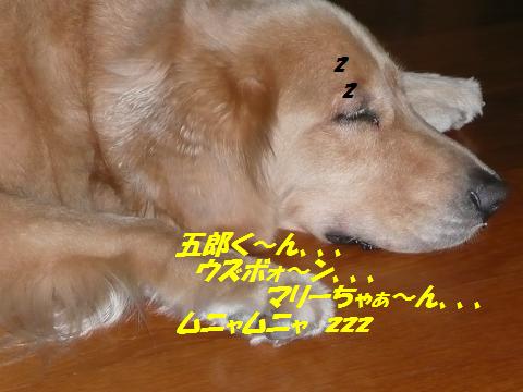 f0114128_10302745.jpg
