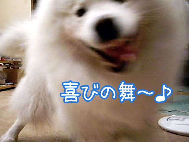 ♪『もけもけ姫』_c0062832_1533641.jpg