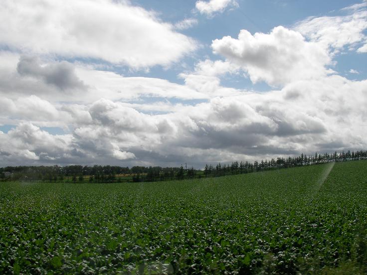 c0081535_20581372.jpg