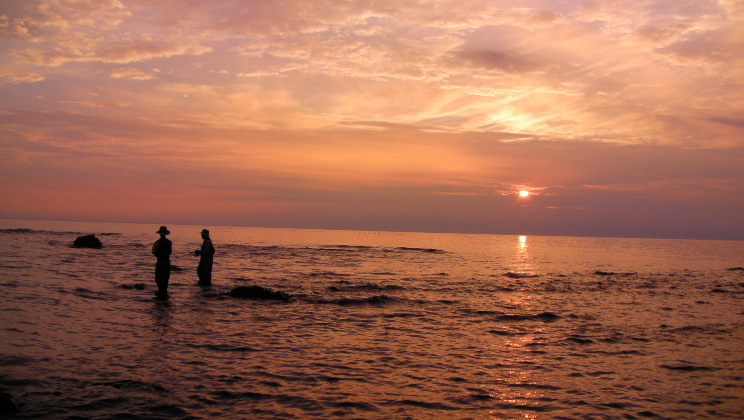 e0009862_15511754.jpg