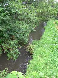 f0139963_22265753.jpg