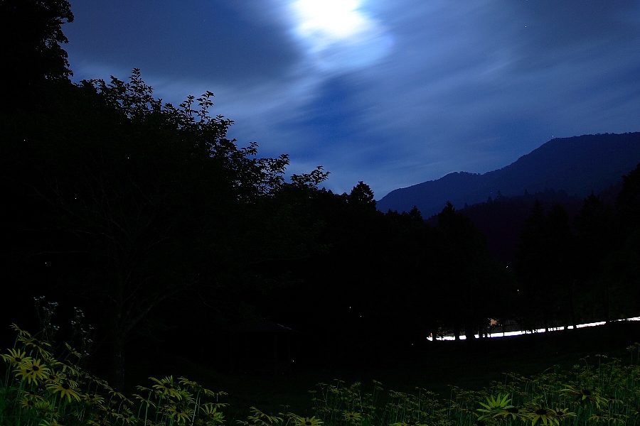 夏は夜 月に叢雲 花に嵐 夏は夜 月に叢雲 花に嵐