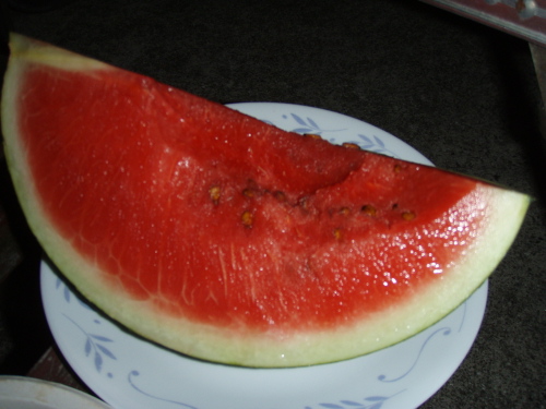 バーベキュー_a0077071_16143042.jpg