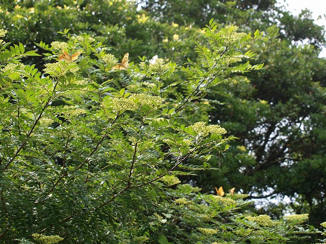 b0135573_21241160.jpg