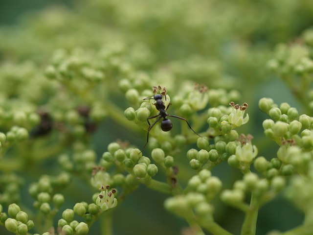 b0135573_21255110.jpg