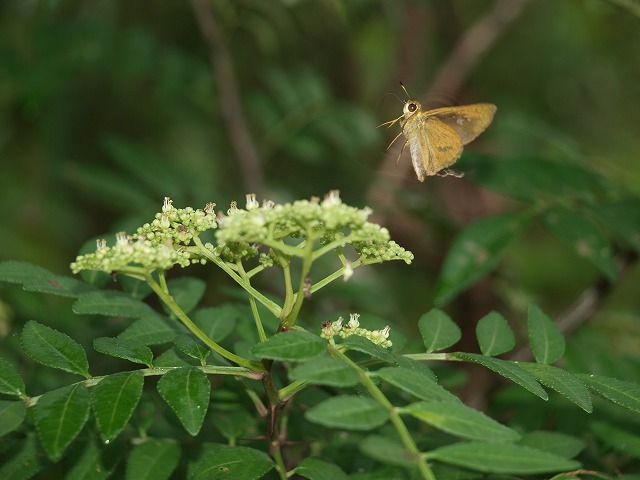 b0135573_2126485.jpg