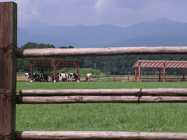 b0109874_77114.jpg