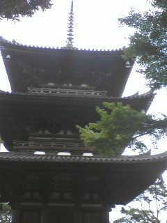 神奈川の三渓園_d0062076_13432058.jpg