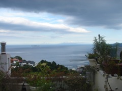 2008年8月15日 まとめてアップ!暑くてだらだら。。いいわけだね。 _b0098584_13272858.jpg