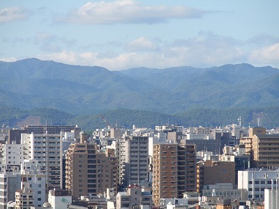 c0105785_1254599.jpg