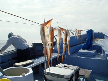 c0139388_17357.jpg