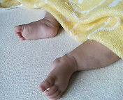 f0050993_16541569.jpg