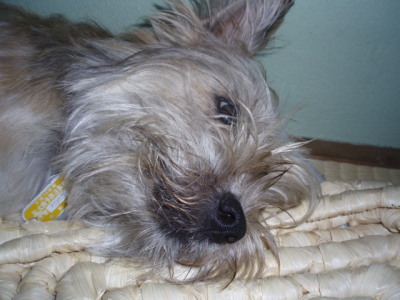 c0086895_225464.jpg
