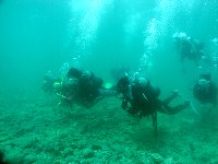f0079996_12584464.jpg