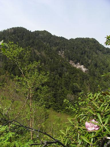 b0116703_1925495.jpg
