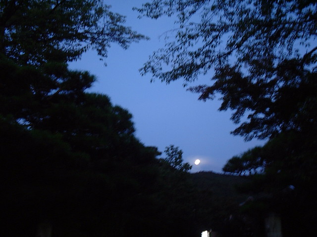 f0173908_69652.jpg