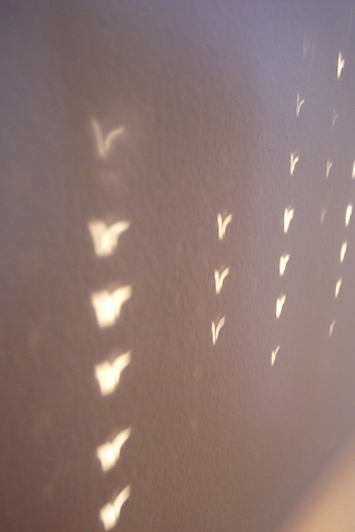 d0063314_23132541.jpg