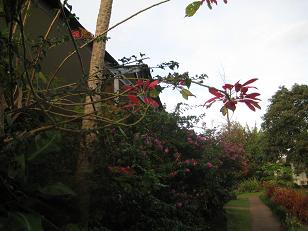 f0135018_2224723.jpg