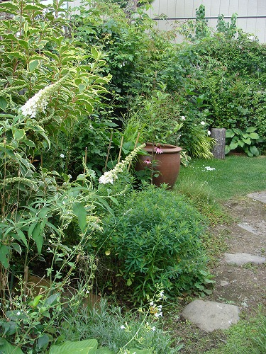 f0170524_16132940.jpg