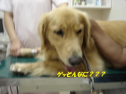 f0114128_15385639.jpg