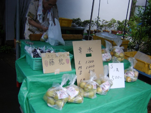 e0016135_1401377.jpg