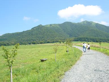 あー夏休み_f0002743_1594894.jpg