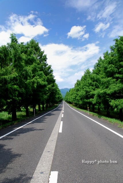 c0156854_22412319.jpg