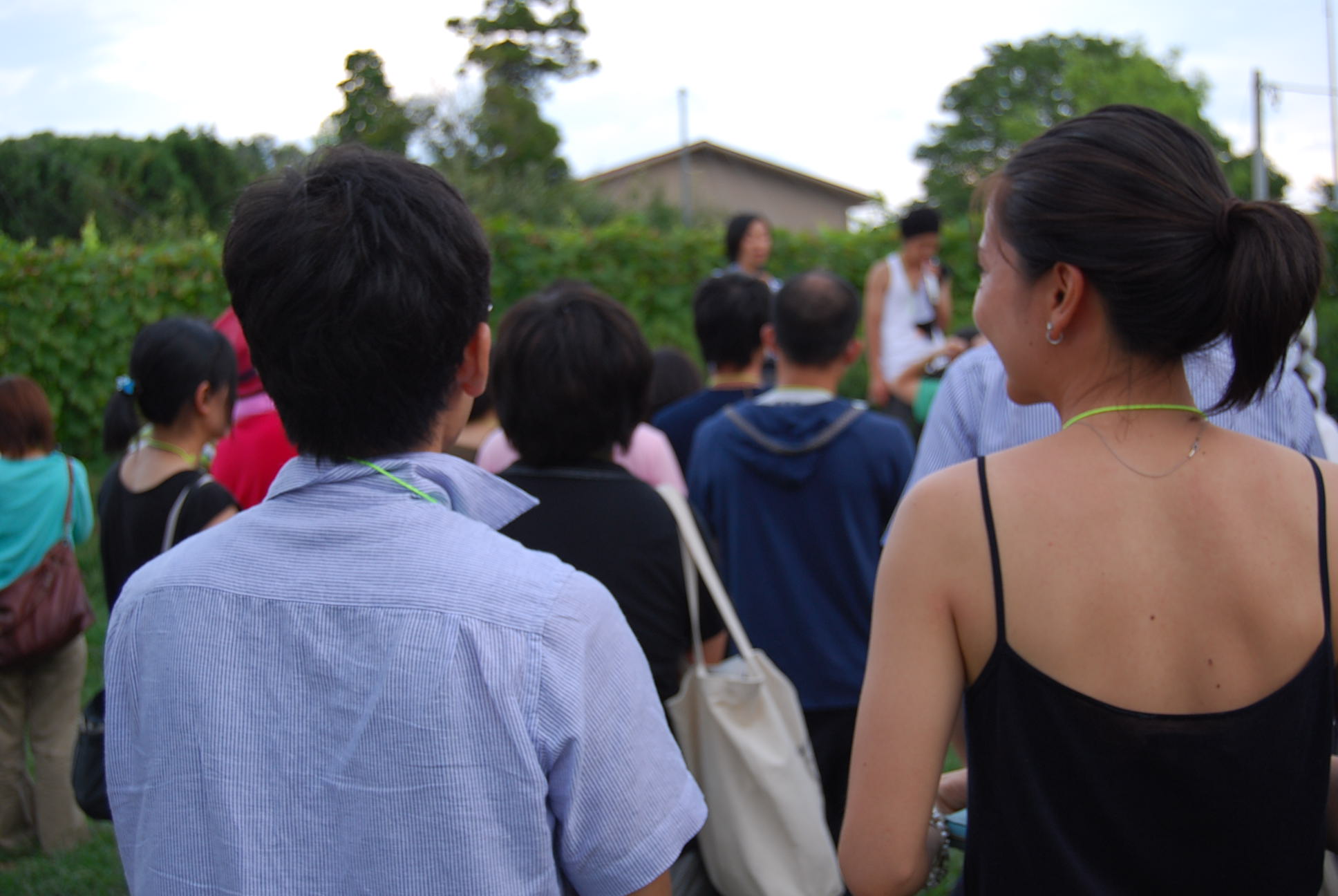 若手陶芸家会合　「イケイケヤング陶芸家」_e0142956_8505429.jpg