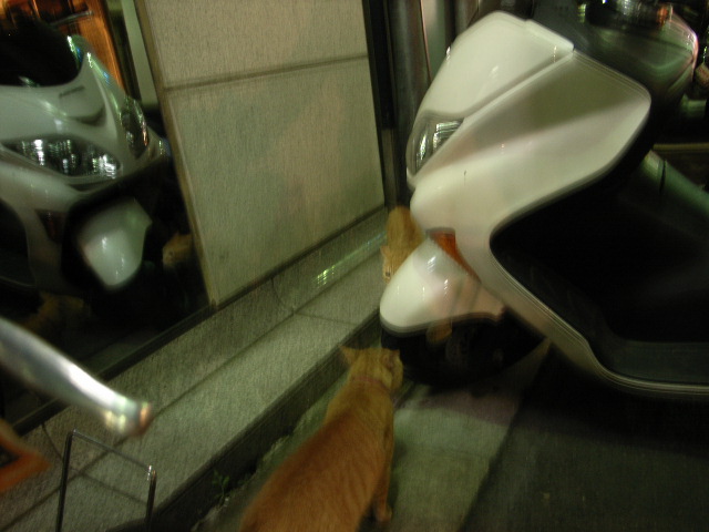 \"LOVE VOICE\"ってこんなこと。_c0140560_1542572.jpg