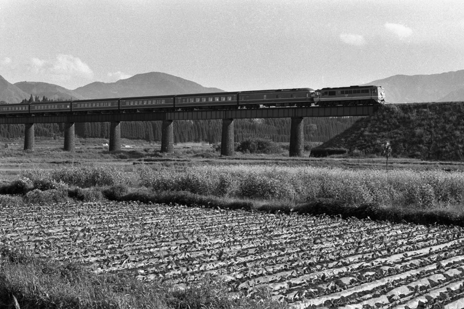 e0019563_7425132.jpg