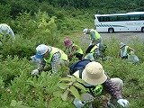 f0150470_14242020.jpg