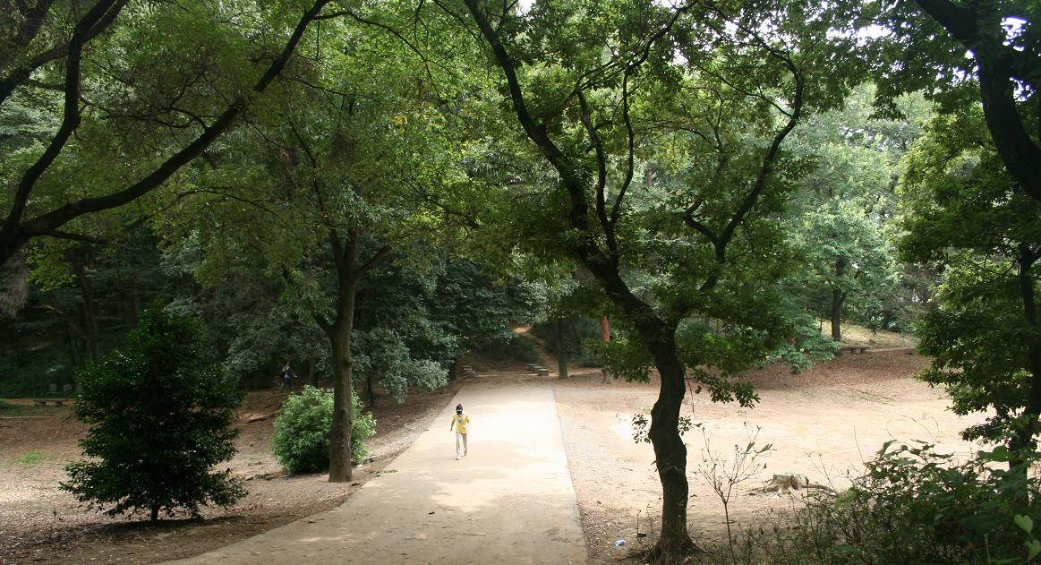 「警官の血」ロケ地 森林浴出来る仙元山 深谷のまちづくり その11 _a0107574_20422326.jpg