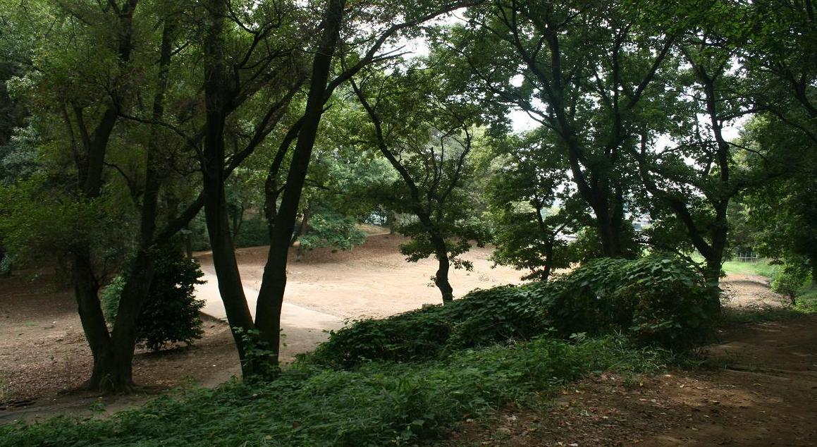 「警官の血」ロケ地 森林浴出来る仙元山 深谷のまちづくり その11 _a0107574_20423375.jpg