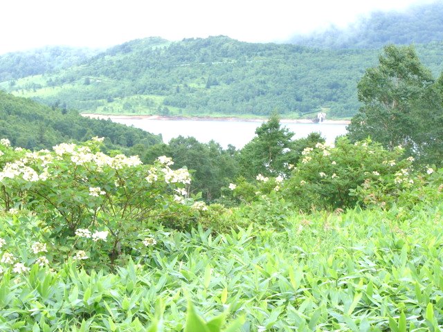 f0104277_132817100.jpg