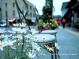 e0052716_152499.jpg