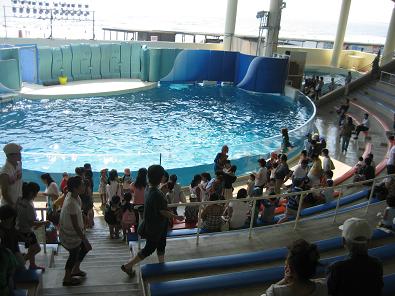 新江ノ島水族館_c0145717_8334086.jpg