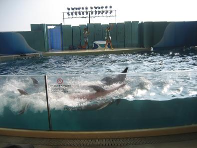 新江ノ島水族館_c0145717_836455.jpg