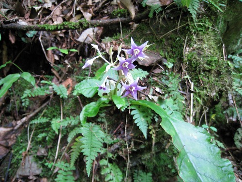 e0117318_2314172.jpg