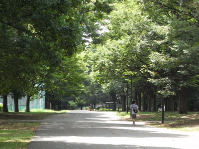 e0092221_622196.jpg