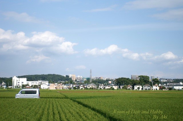 座間　座架依橋下の向日葵P-2のご紹介です。／詩_b0033423_17211017.jpg