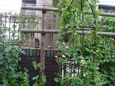 f0170524_14122650.jpg