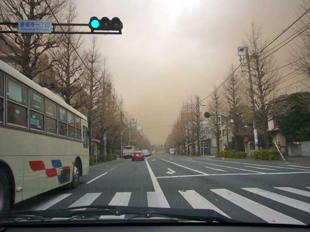 2008年 春一番_a0016730_025852.jpg