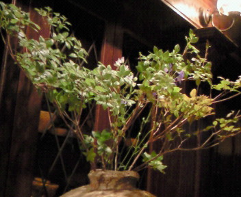 d0043935_22104824.jpg