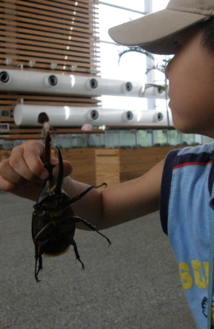 キャンプ（２日目)_e0071035_1729246.jpg