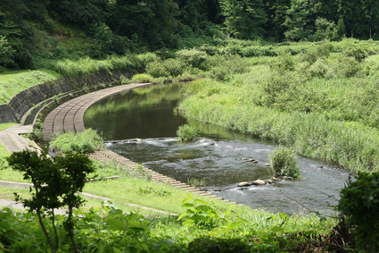 何度でも　ただその時に　逢いたくて_b0031538_21232846.jpg