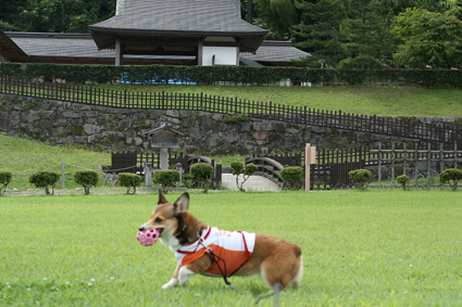 何度でも　ただその時に　逢いたくて_b0031538_21302836.jpg